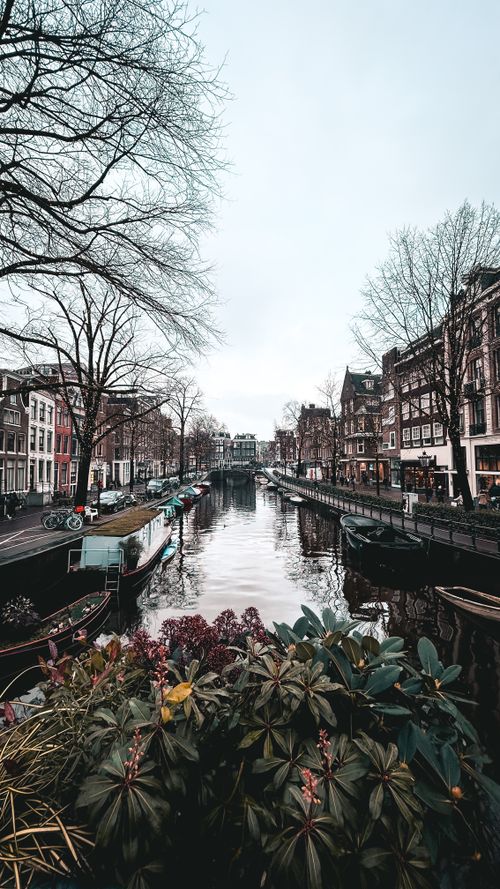 Free A serene view of an Amsterdam canal lined with historic buildings and leafless trees in winter. Stock Photo