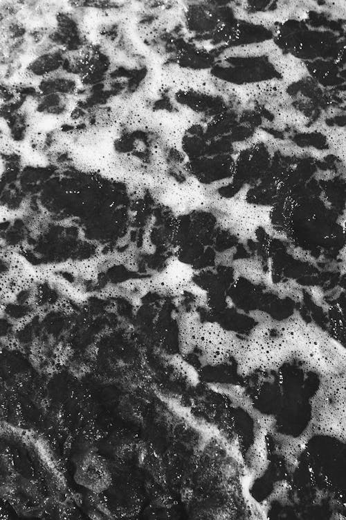 Water Foam in Black and White