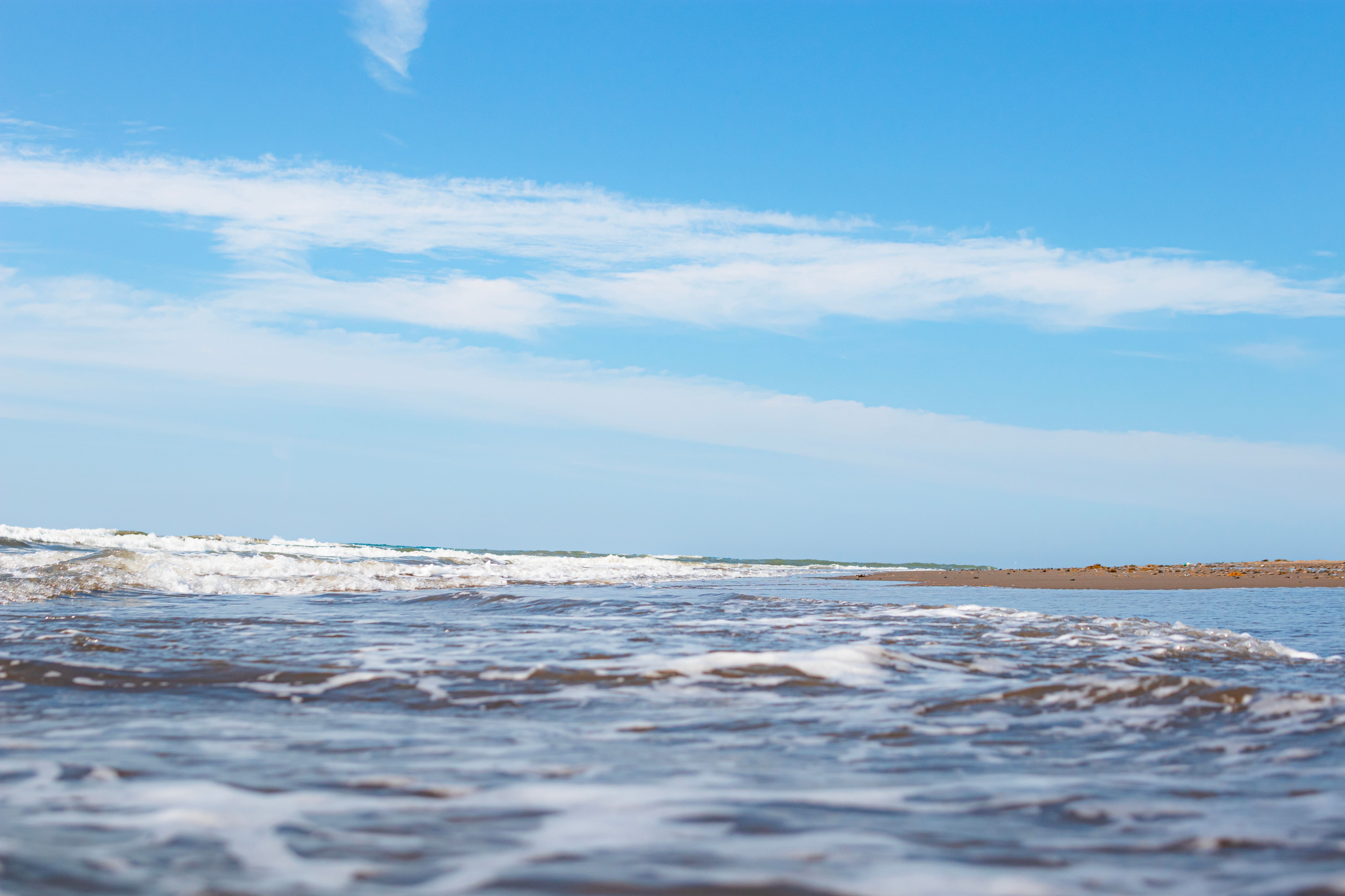 Foamy Waves on the Ocean Surface by the Beach · Free Stock Photo