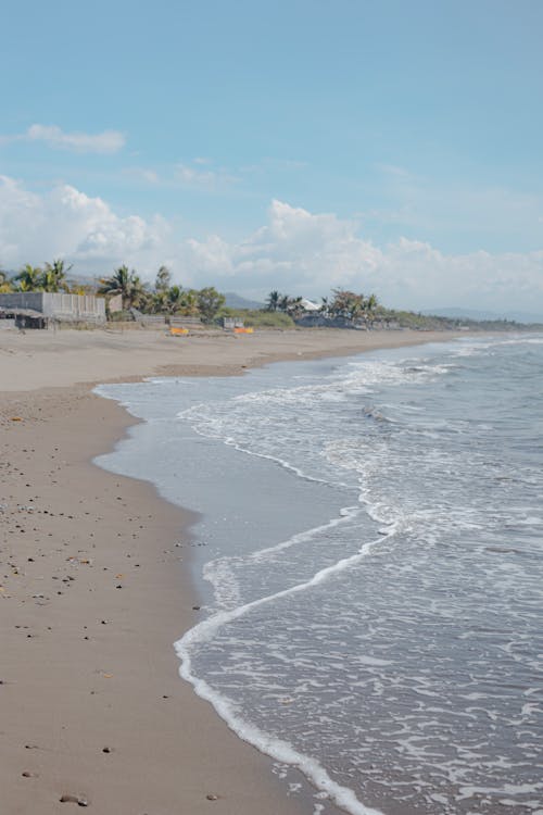 Tropical Beach Washed by the Sea