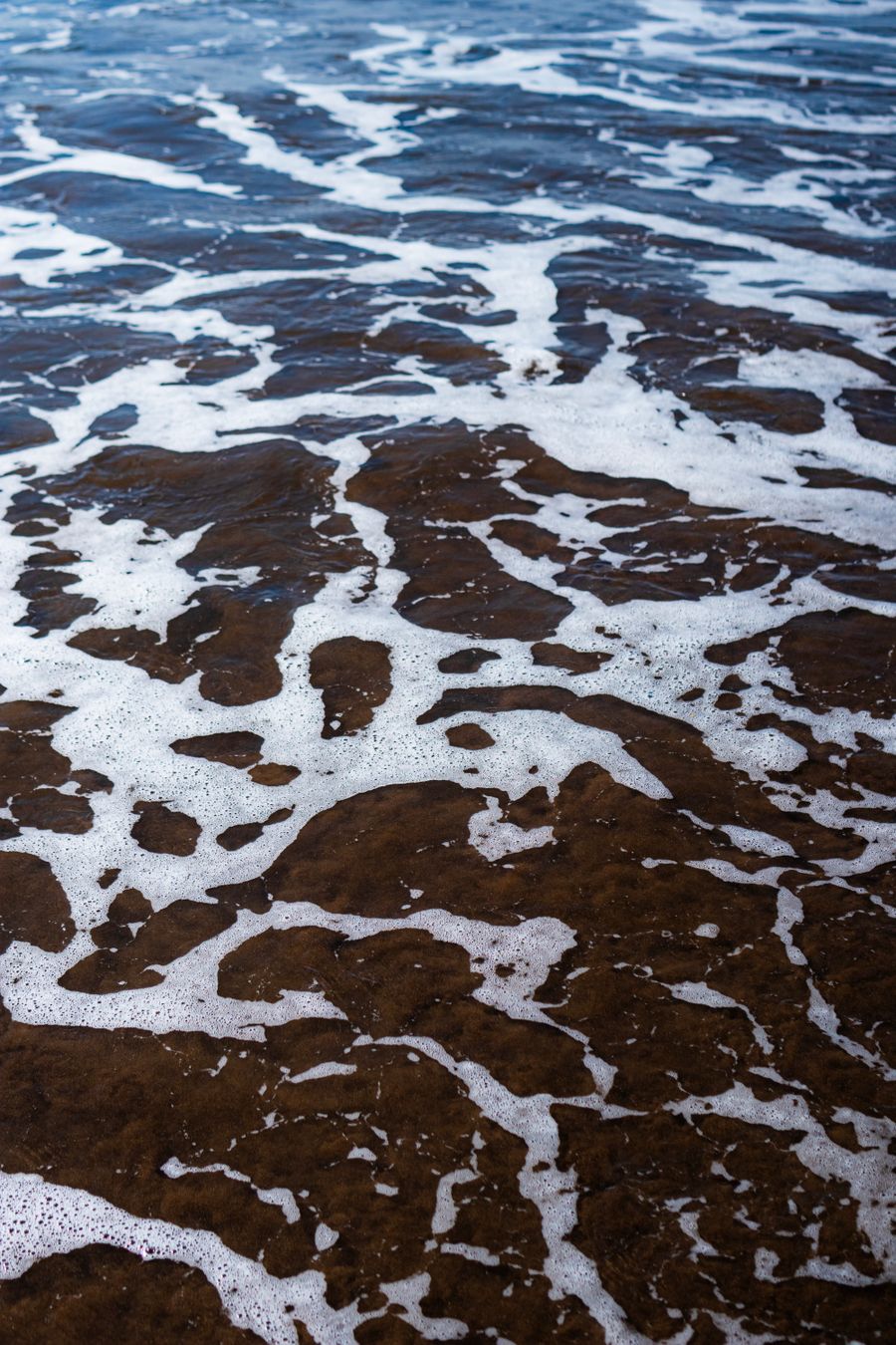 Sea foam laced across wet sand on an open shore — photo by Nothing Ahead on Pexels