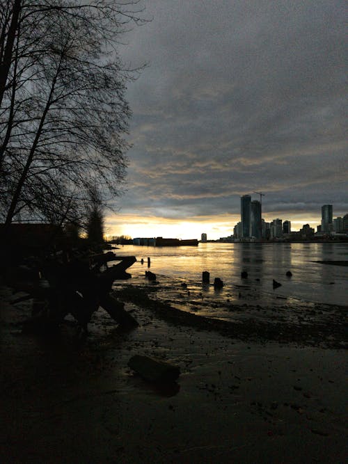 city_skyline, カナダ, スカイラインの無料の写真素材