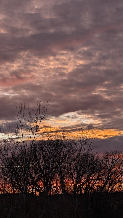 スリザリン, 美しい空, 雲の無料の写真素材