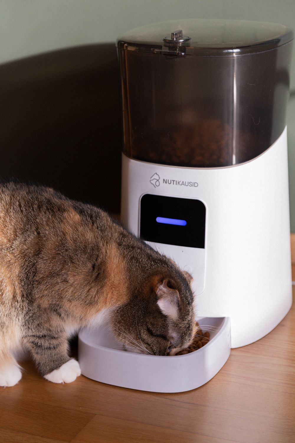 Slimme automatische voerbak voor katten