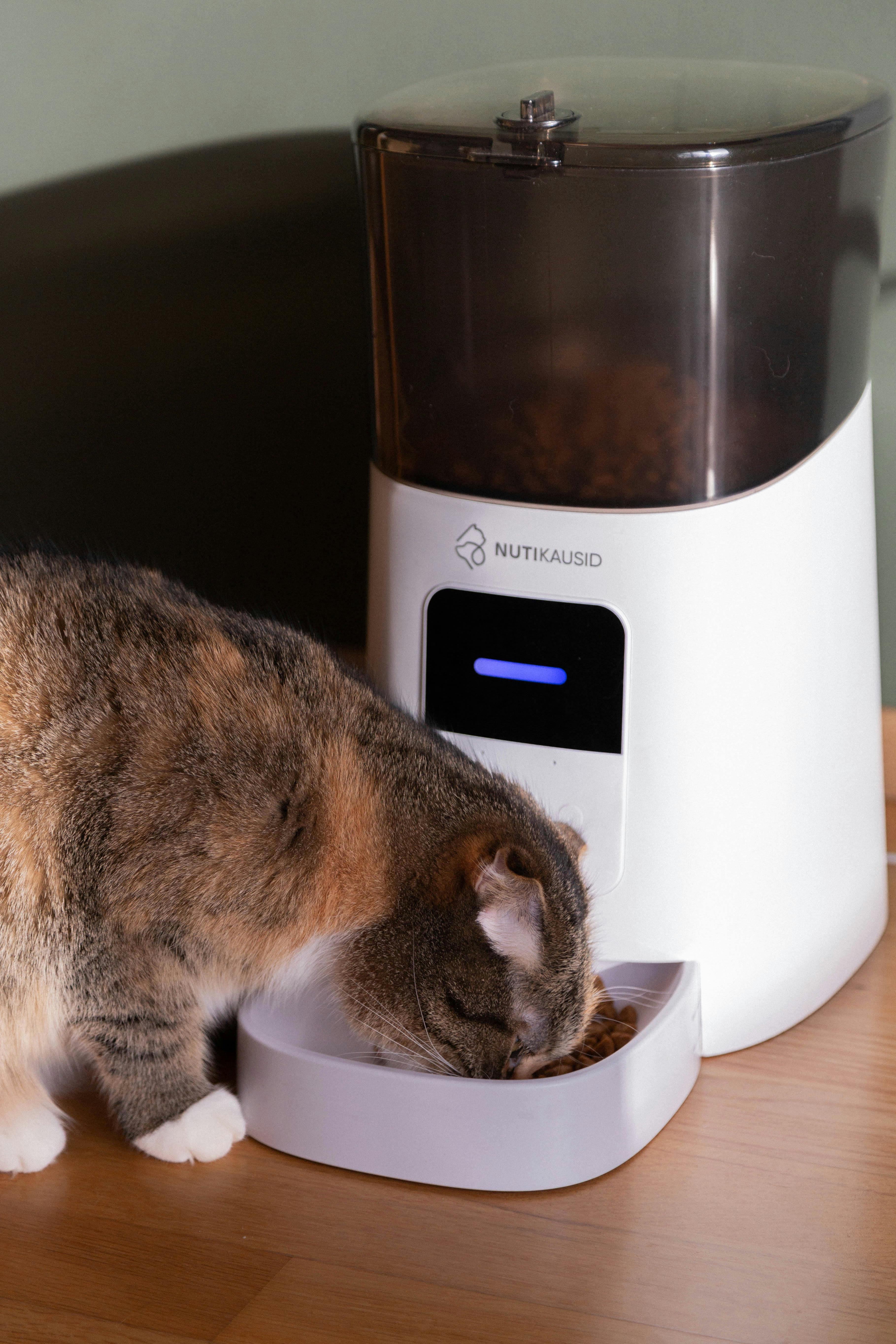 Petlibro Automatic Cat Feeder Wet Food Refrigerated Photos, Download
