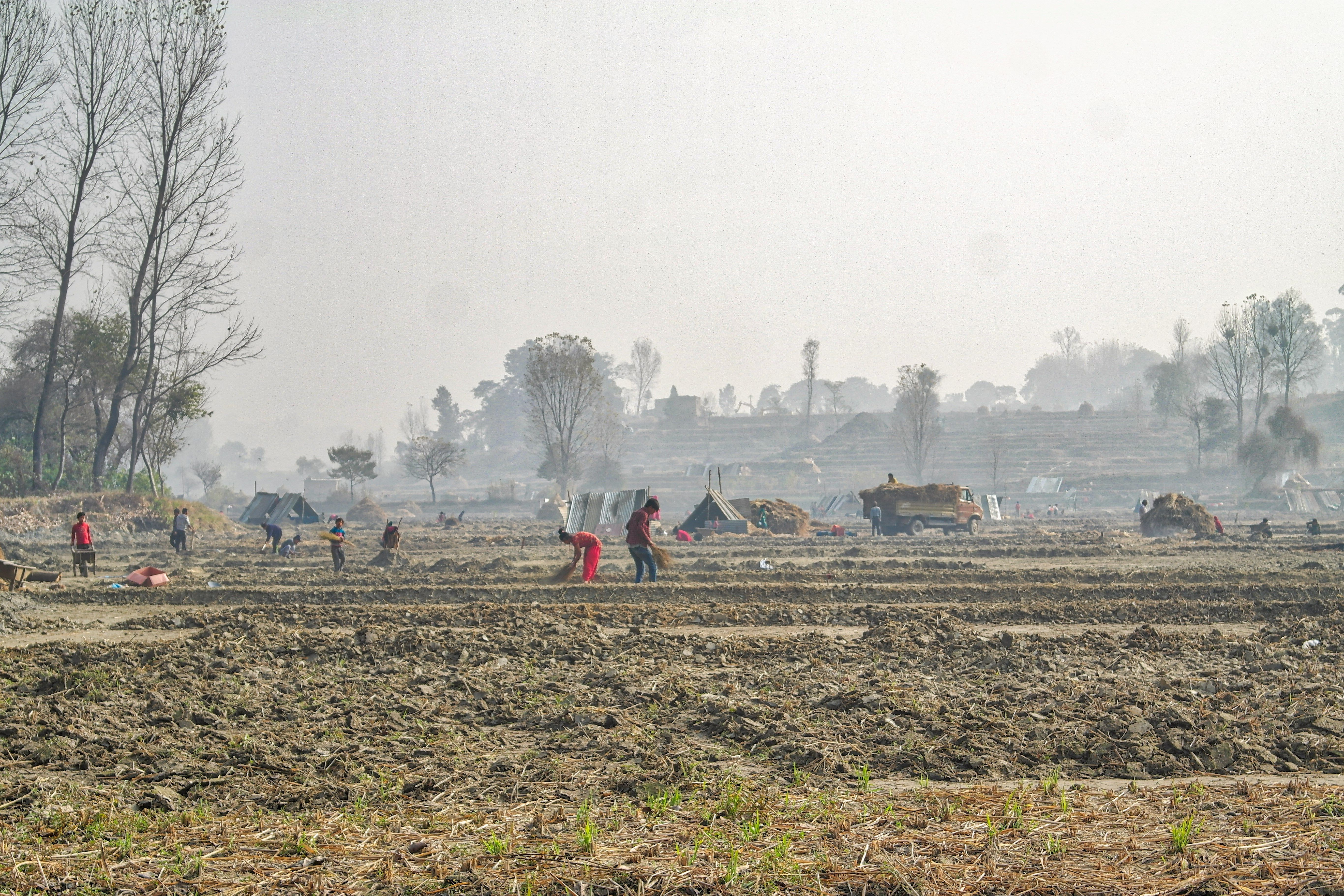 Gratis Immagine gratuita di agricolo, nepal, raccogliere Foto a disposizione