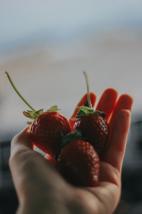 Strawberries on the Palm