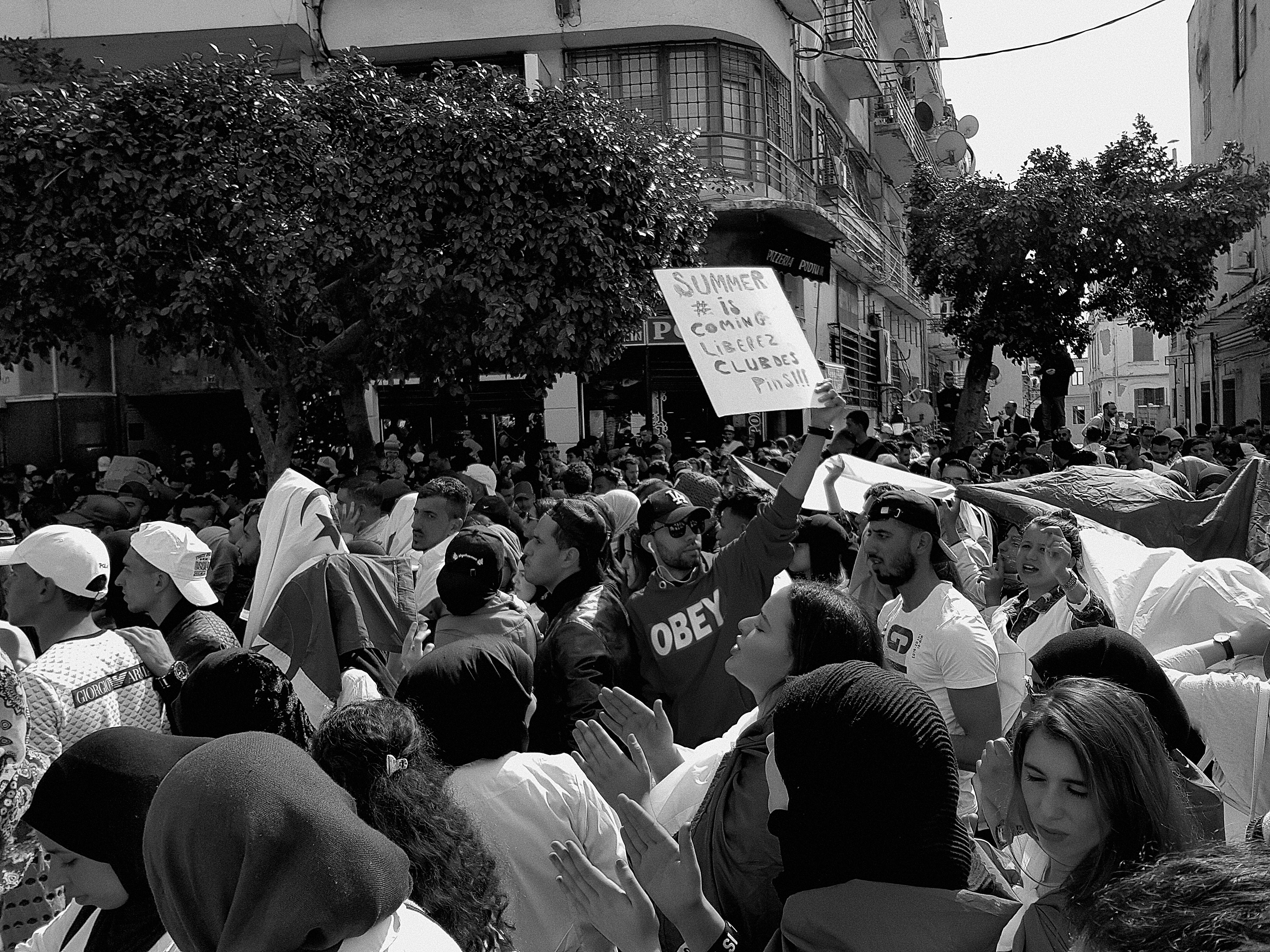 Free stock photo of algeria, black and white, crowd