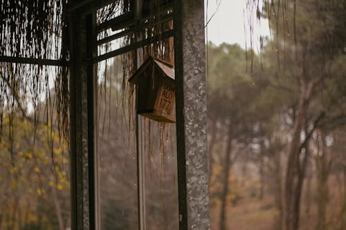 A Bird Feeder Handing in a Window