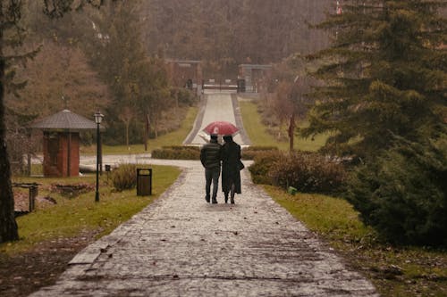 Couple under Umbrella in Park