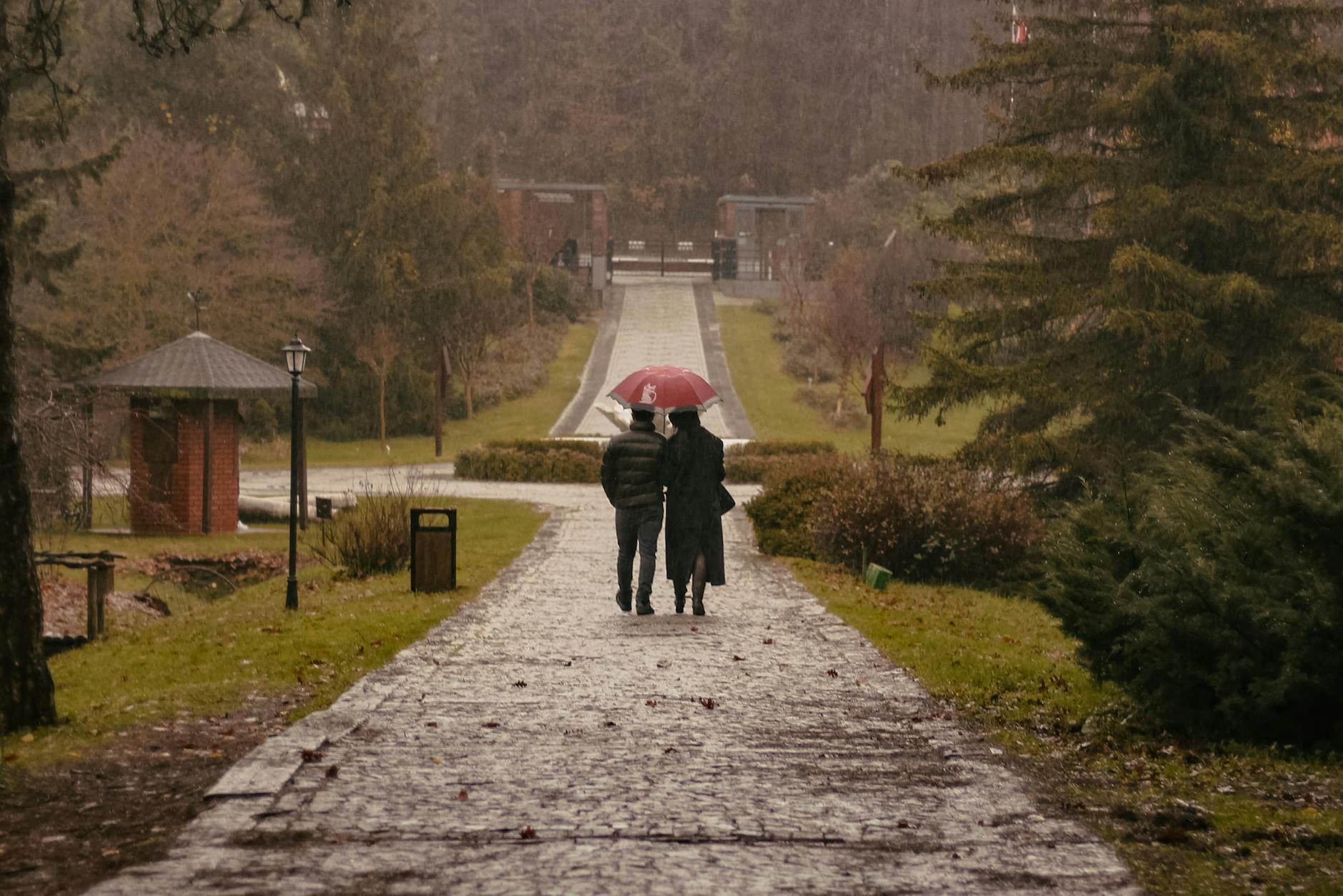 Two people walking down a path with umbrellas