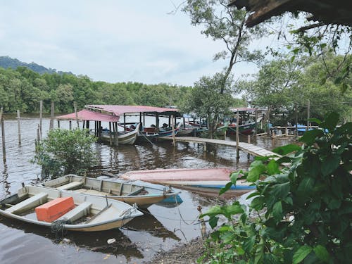 A beautiful river with fishing boats and nature along the river mouth in the monsoon season.
