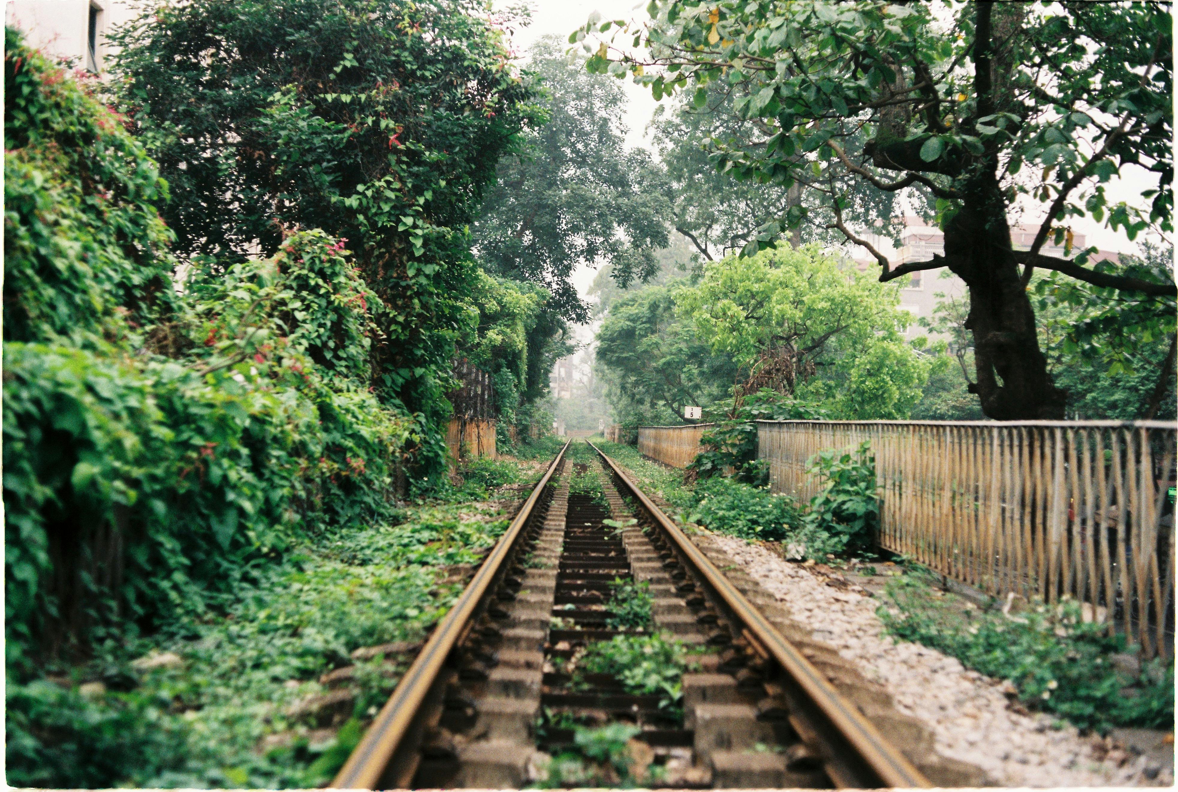 Railway tracks surrounded by greenery in Hanoi's countryside during summer.