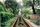 rail