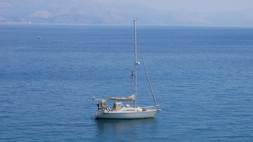 Immagine gratuita di albero, barca, barca a vela