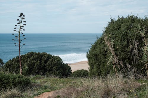 A Landscape Over the Sea