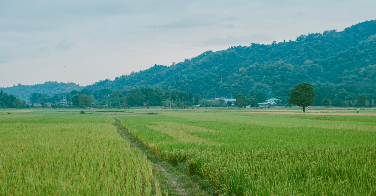 Manipur's Tech Awakening: How Startups are Forging New Paths from Imphal to the Hills
