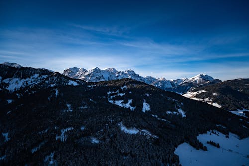 Forest on Hills in Winter