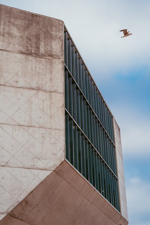 Ilmainen kuvapankkikuva tunnisteilla Betoni, casa da música, ikkunat