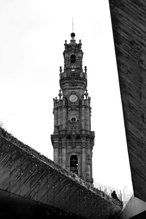 Kostenloses Stock Foto zu clerigos kirche und turm, gotische architektur, katholisch