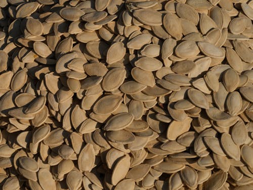 Abundance of Pumpkin Seeds