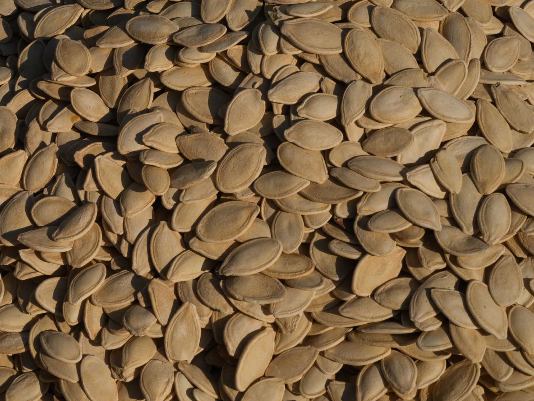 Golden roasted bourbon maple pumpkin seeds in bowl