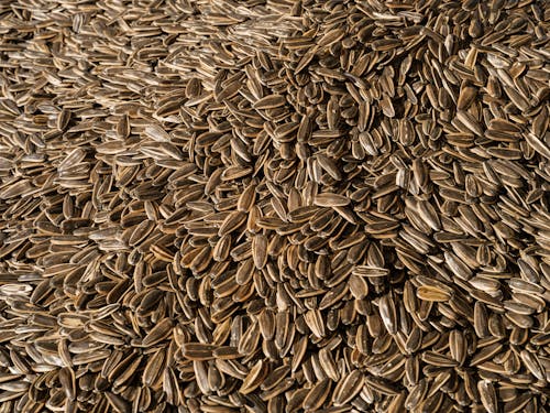 fresh sunflower seeds at the market