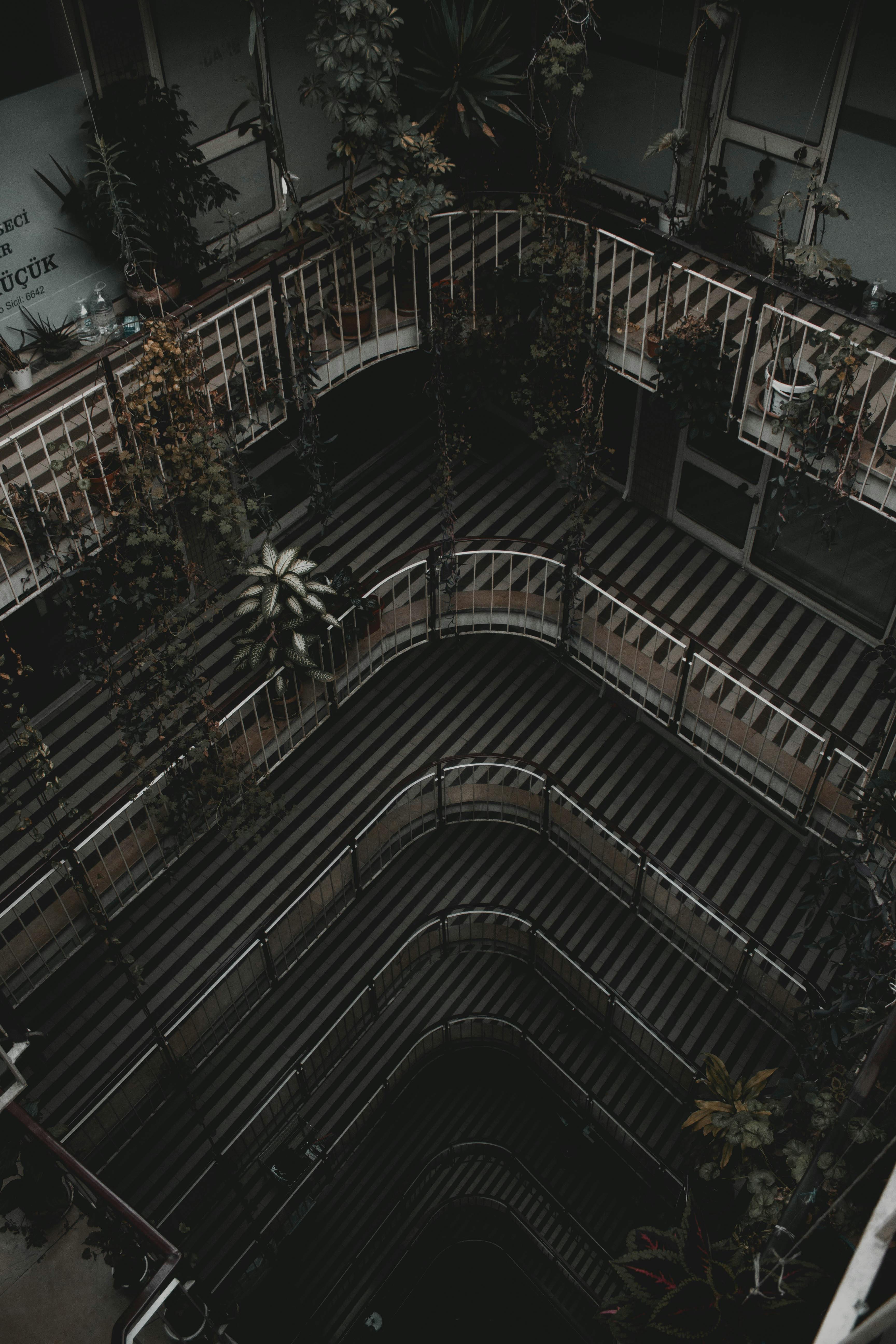 A high-angle view of a residential courtyard adorned with lush plants, creating a moody urban jungle vibe.