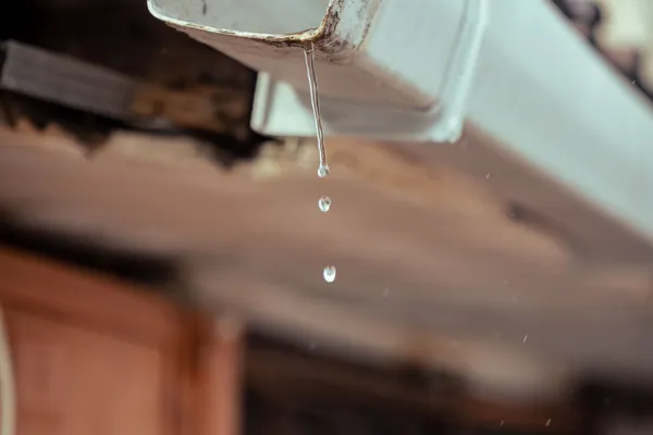 Gutter Leak Repair & Cleaning