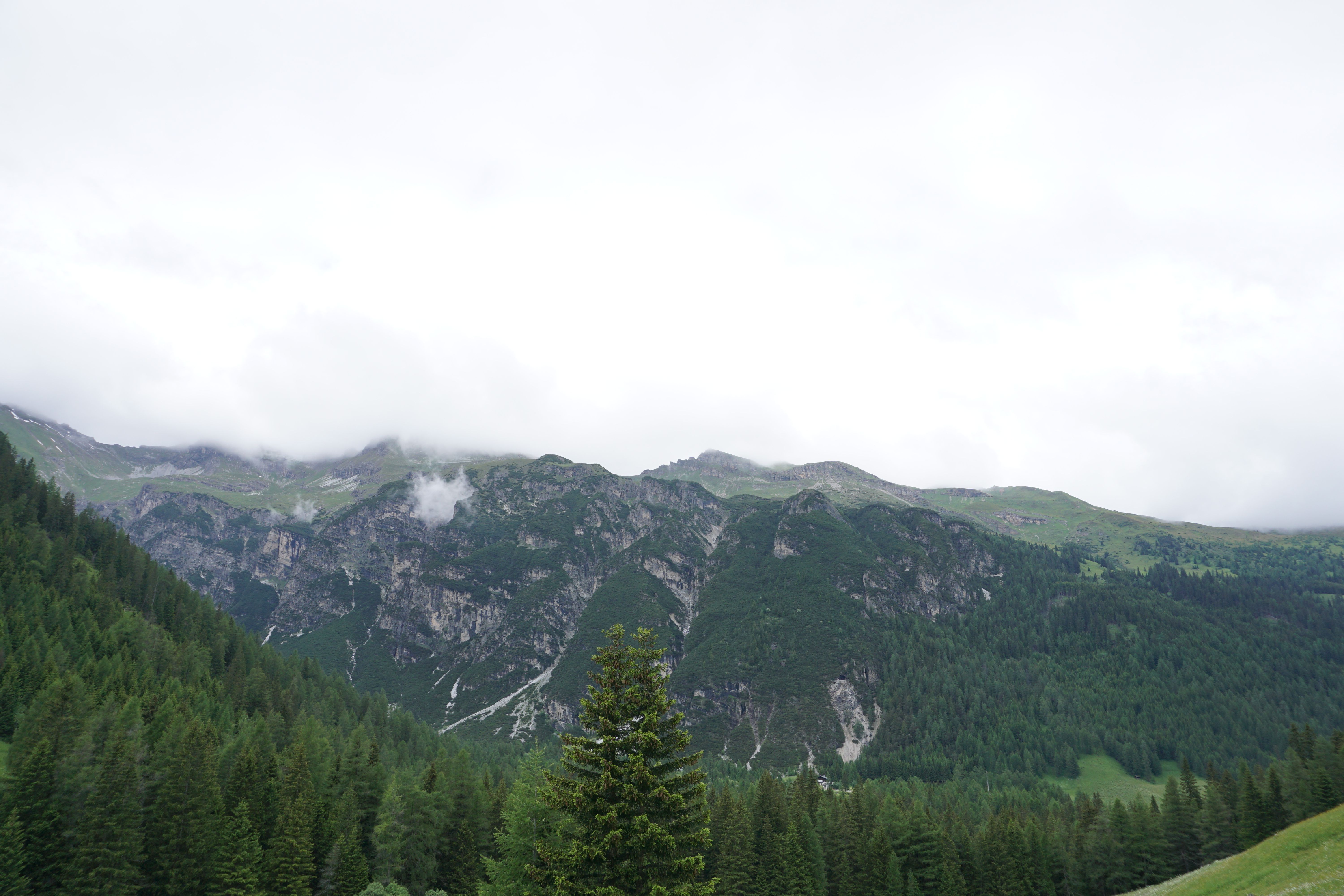 The high country at first light