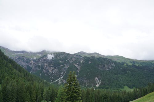 A view of a mountain range with trees and mountains