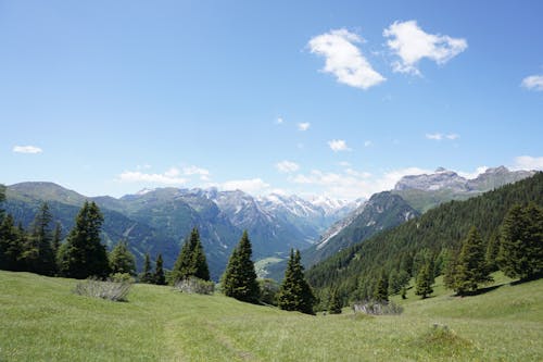 Бесплатное стоковое фото с вечнозеленый, голубое небо, горный хребет