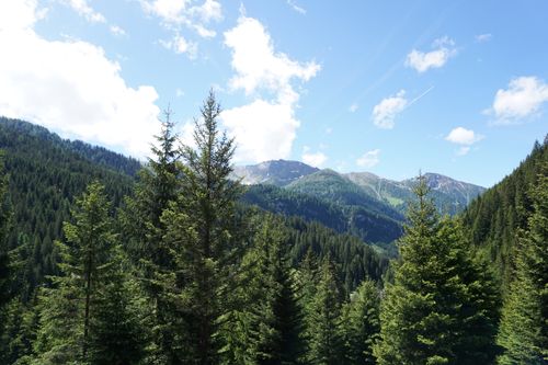 Free Stunning view of mountains and lush evergreen forest under a bright blue sky. Stock Photo