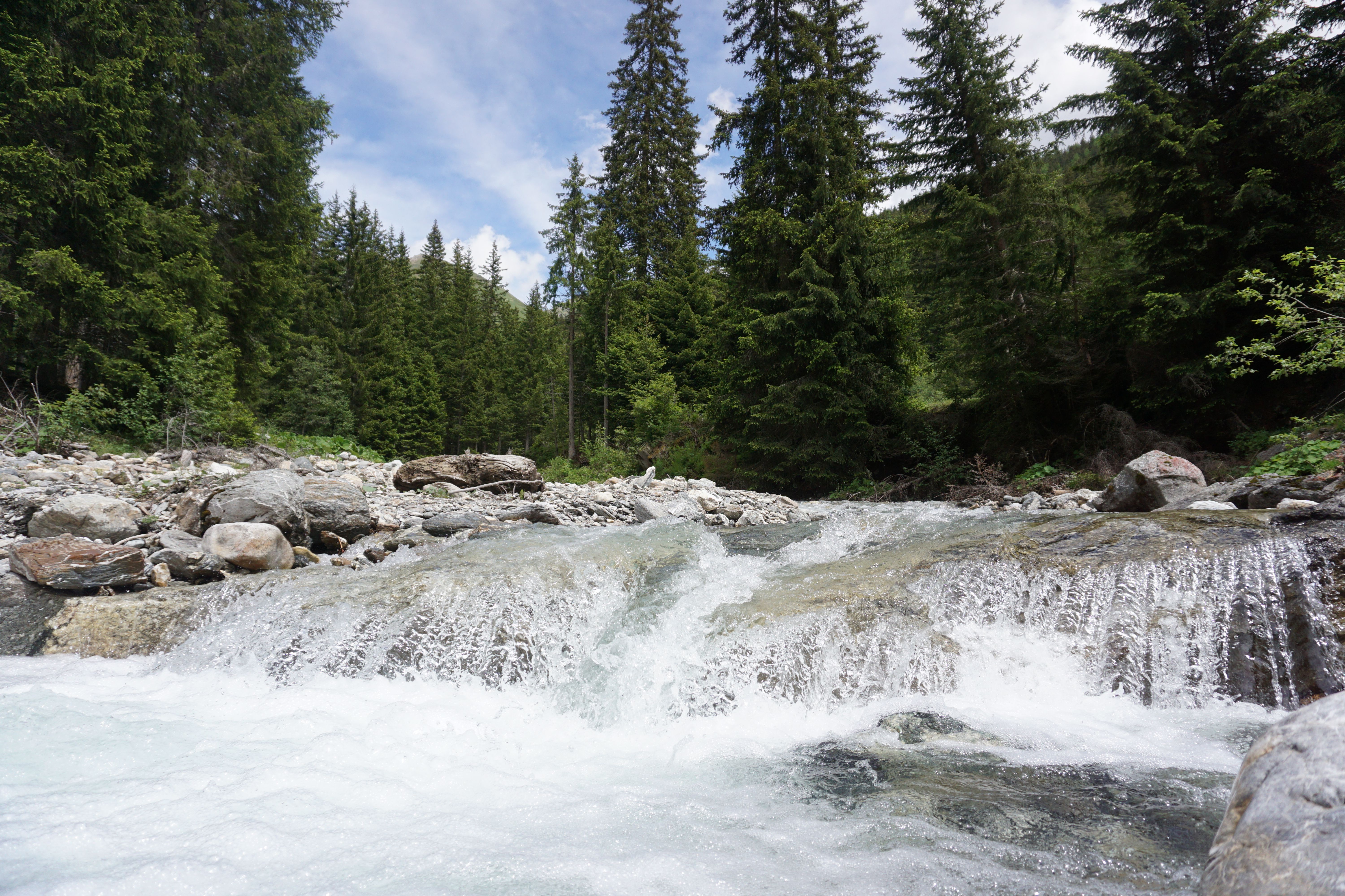 streaming discovery + — Photo by dhht berlin on Pexels