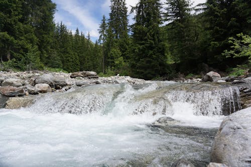 View of a Cascade among Green Trees in a Park 