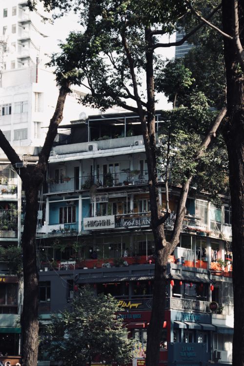 Free A lively urban scene featuring apartment buildings with balconies surrounded by trees. Stock Photo