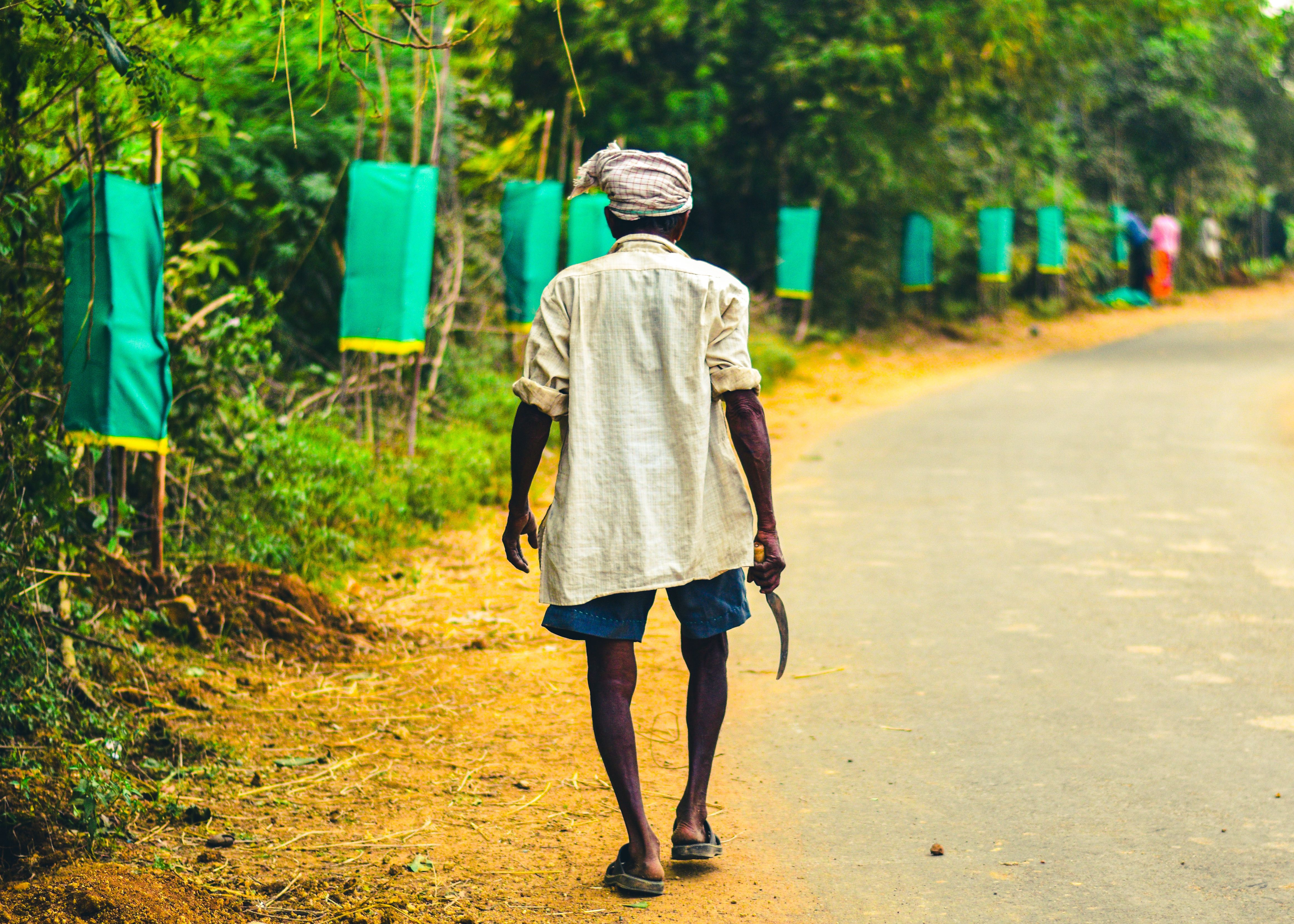 Andhra Pradesh Police Investigate Death of Man Found on Highway
