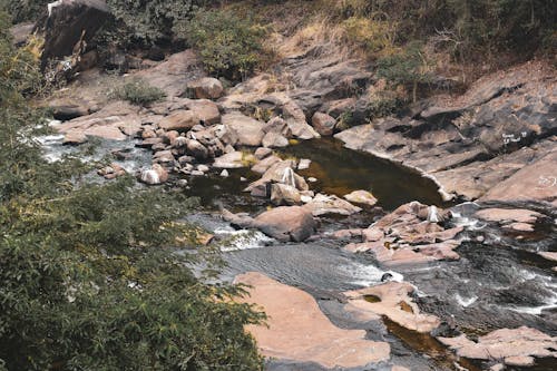 Fotos de stock gratuitas de agua que fluye, arbustos, corriente