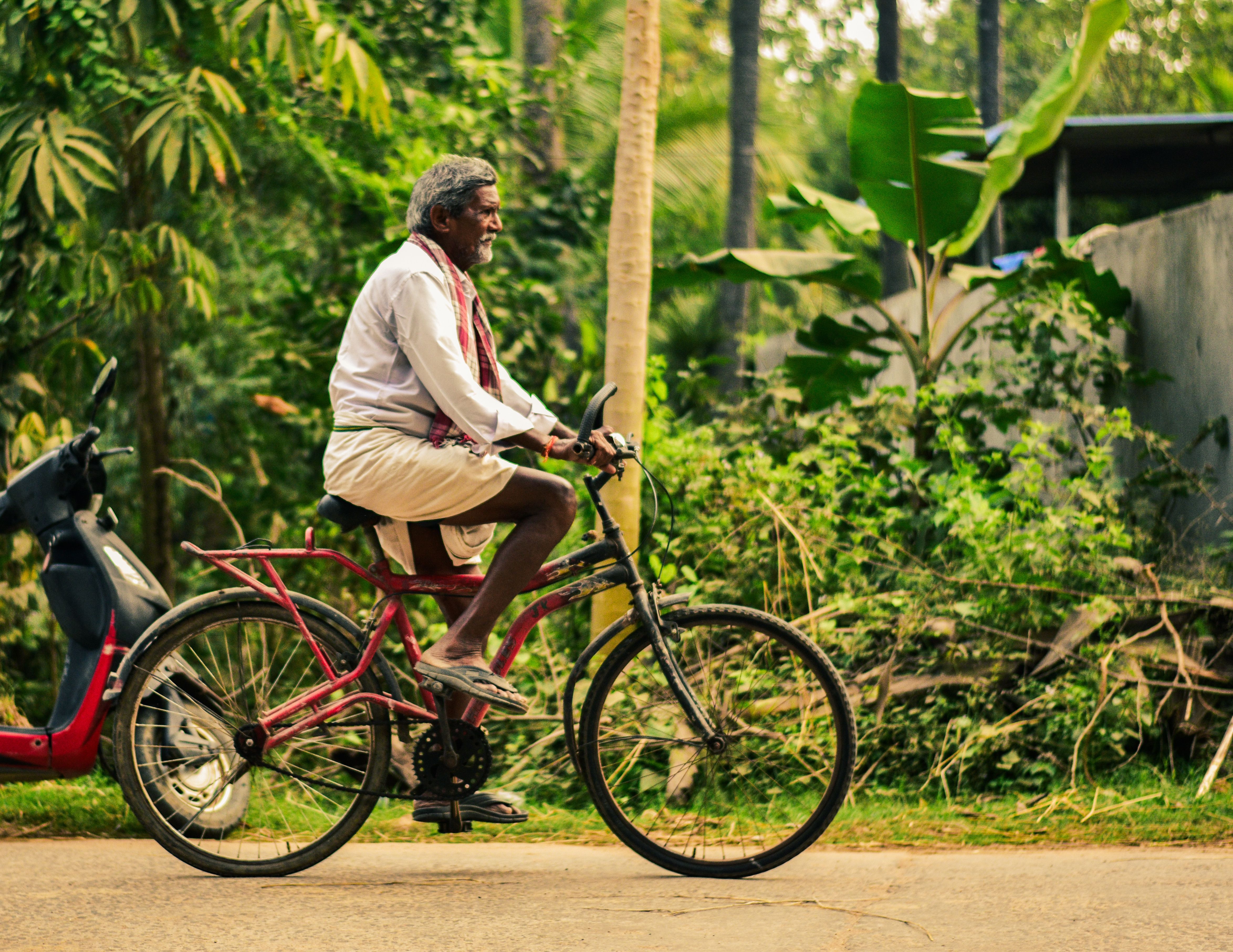 Cycle or drive the Urulanthanni-Kuttampuzha road