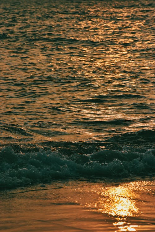 Golden Sunlight at Sunset Reflecting in the Sea Surface