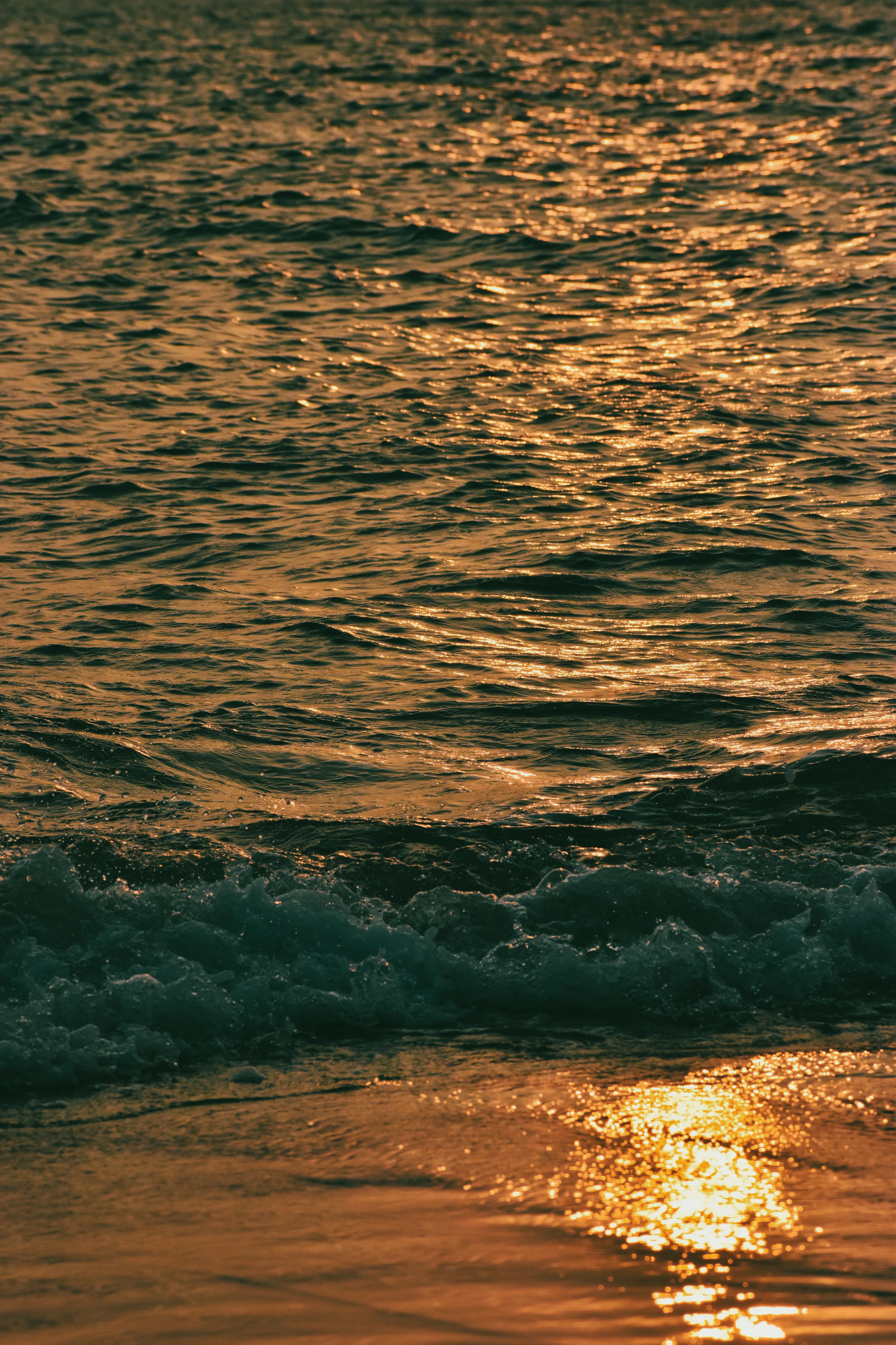 Golden Sunlight at Sunset Reflecting in the Sea Surface · Free Stock Photo