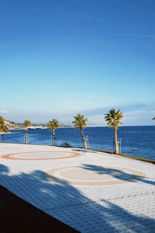 A white and blue circular path with palm trees in the background