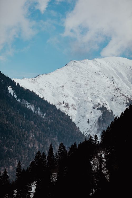 Free A breathtaking view of snow-covered mountains surrounded by dense evergreen forests. Stock Photo