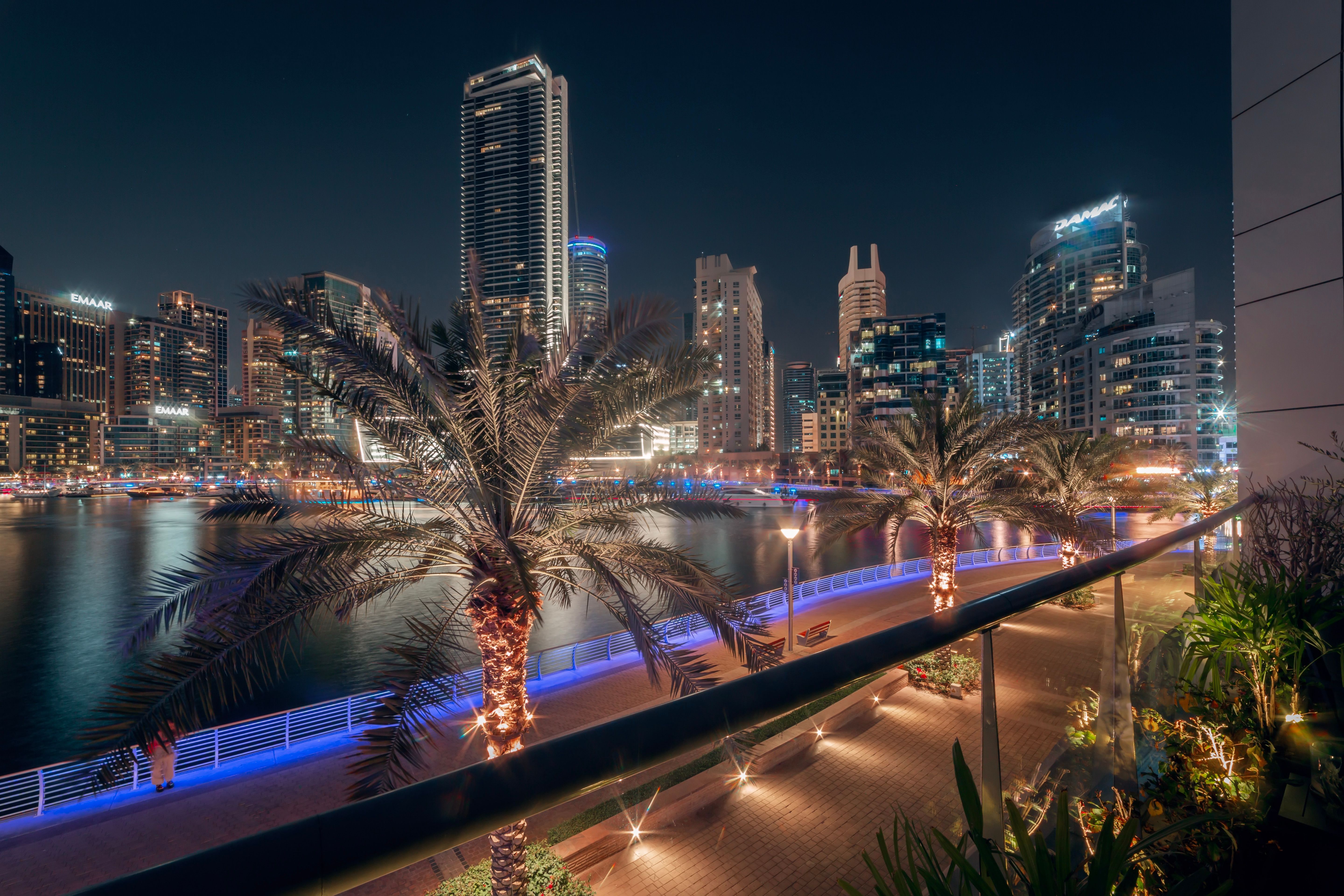 Illuminated palm trees and skyscrapers showcase Dubai Marina's vibrant cityscape.