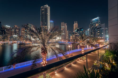 Dubai Marina Promenade. Night City
