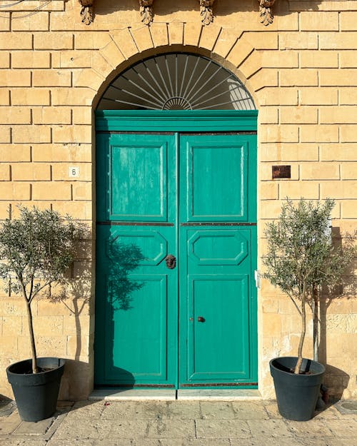 Olive Trees in Pots Standing on Both Sides of the Door 