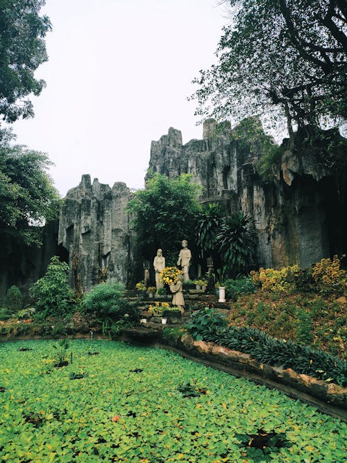 Foto stok gratis batu, hutan, kesenian