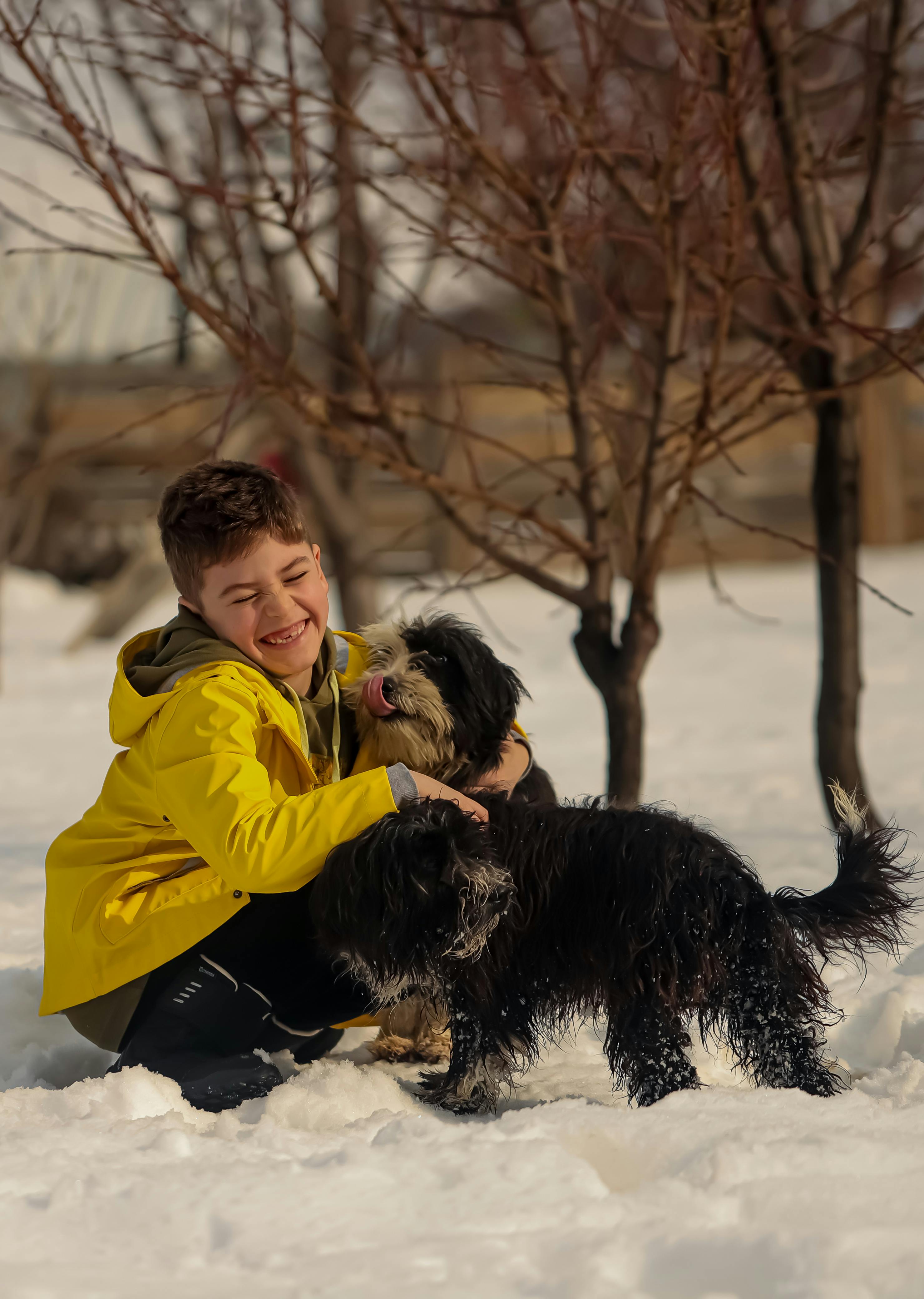 child with a dog in winter