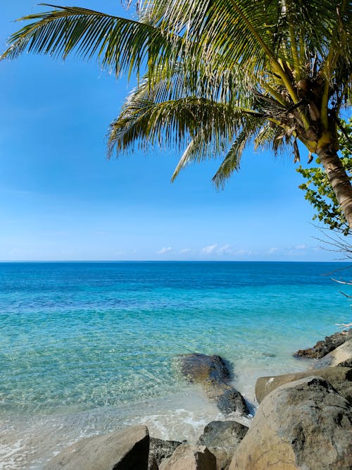 Turquoise Ocean from a Tropical Island