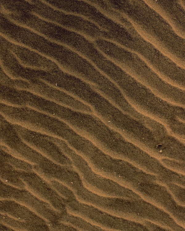 Gratis arkivbilde med bølgete, ørken, overflate